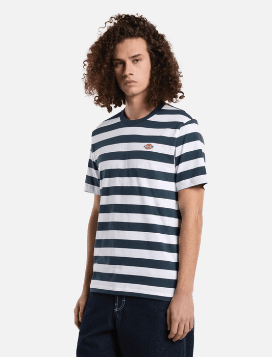 Dickies Rivergrove Tee l Air Force Blue